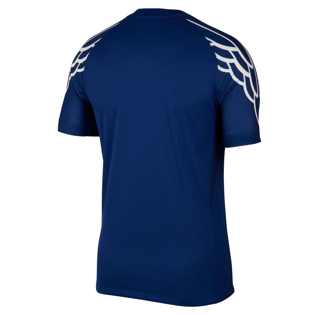 Air Jordan Dri-FIT Paris Saint-Germain 2024/25 Stadium Fourth Replica Football Jersey 'Blue Void' HJ0865-493